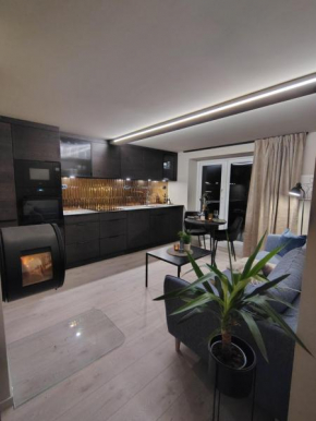 Comfort Apartment in Lone Only 20 minutes away from the heart of the city!